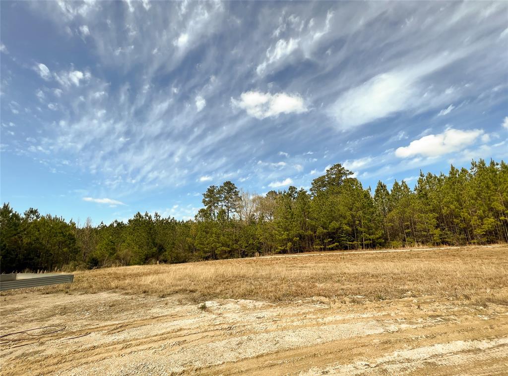6 Fm 1746, Spurger, Texas image 8