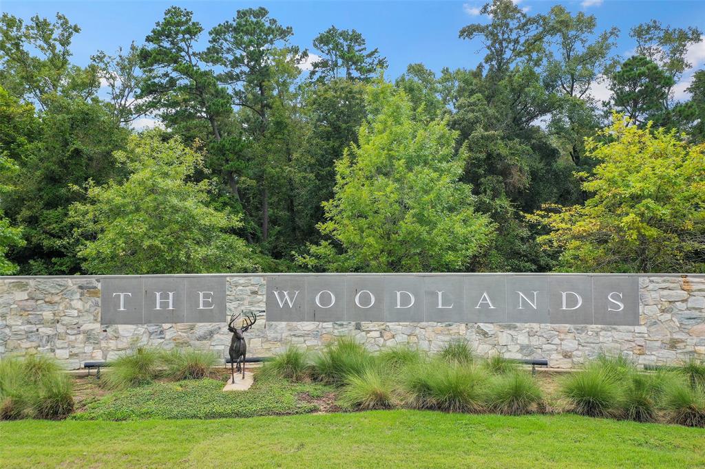 3500 Tangle Brush Drive #105, The Woodlands, Texas image 1