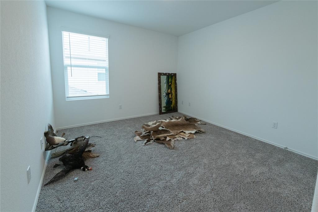 208 Otter Road Rd, Kyle, Texas image 16