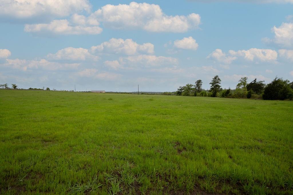 000 County Road 210, Anderson, Texas image 9