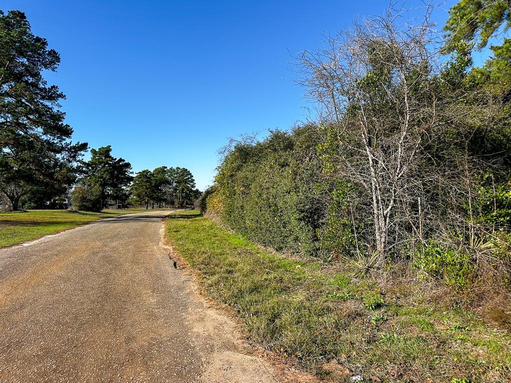 County Road 312, Frankston, Texas image 7