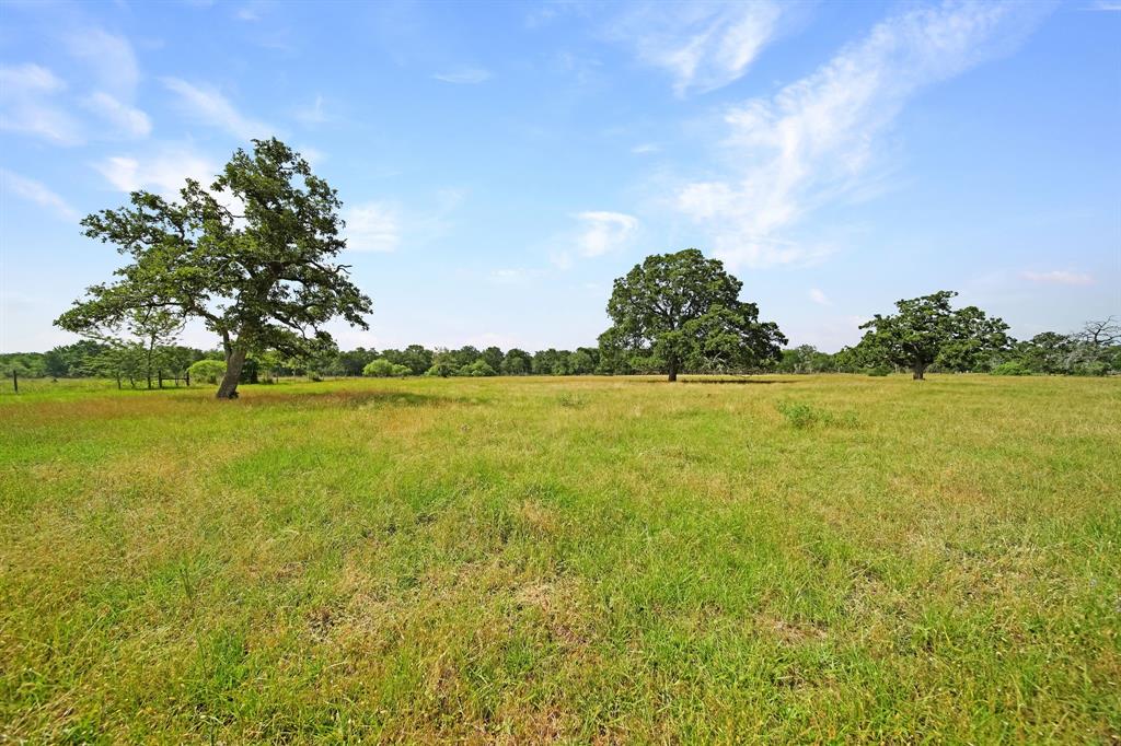 40480 Jozwiak Ln Ln, Hempstead, Texas image 4