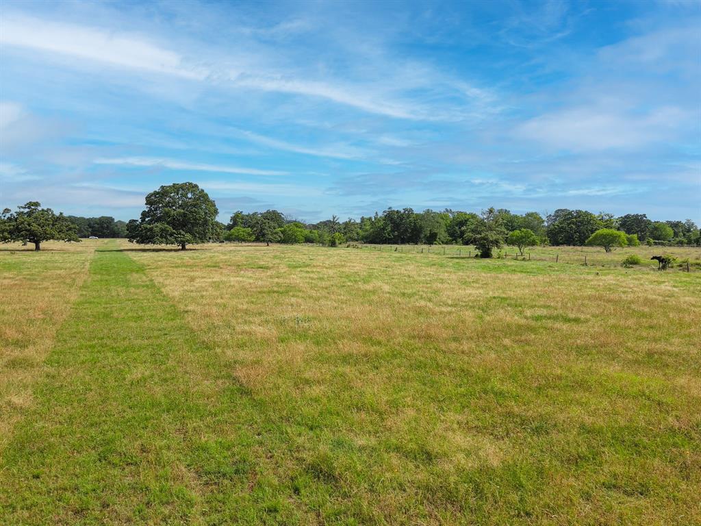 40480 Jozwiak Ln Ln, Hempstead, Texas image 5