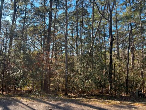 Photo of 61 Sunny Hill Drive, Coldspring, TX 77331 (MLS # 29135919)