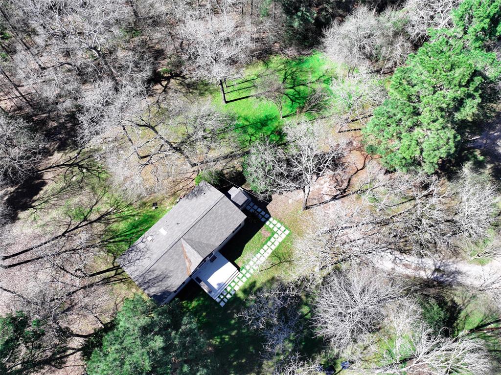 15560 Serendipity Trail, Plantersville, Texas image 45