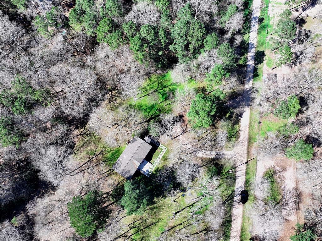 15560 Serendipity Trail, Plantersville, Texas image 46