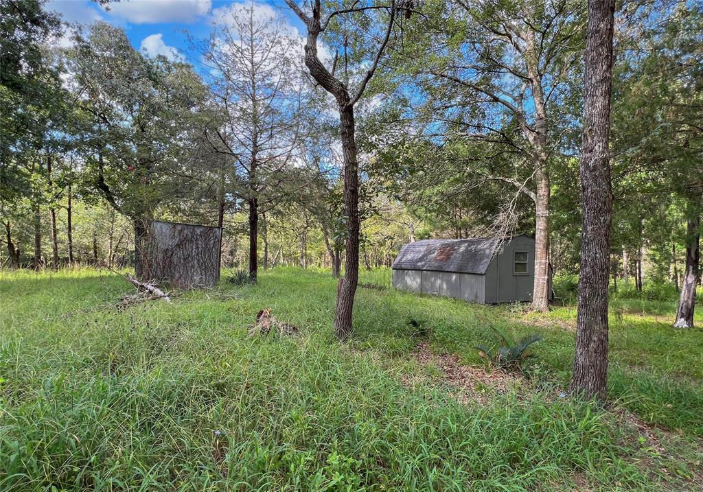 15560 Serendipity Trail, Plantersville, Texas image 33