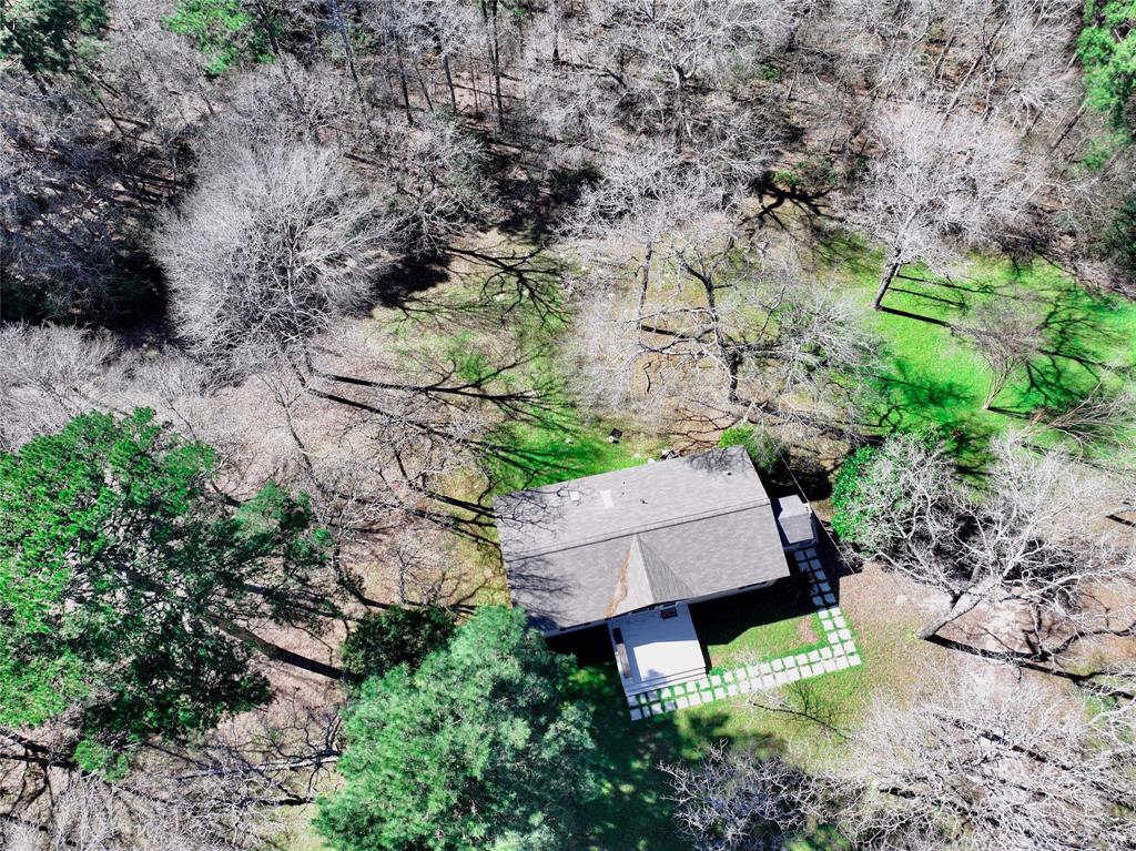 15560 Serendipity Trail, Plantersville, Texas image 2