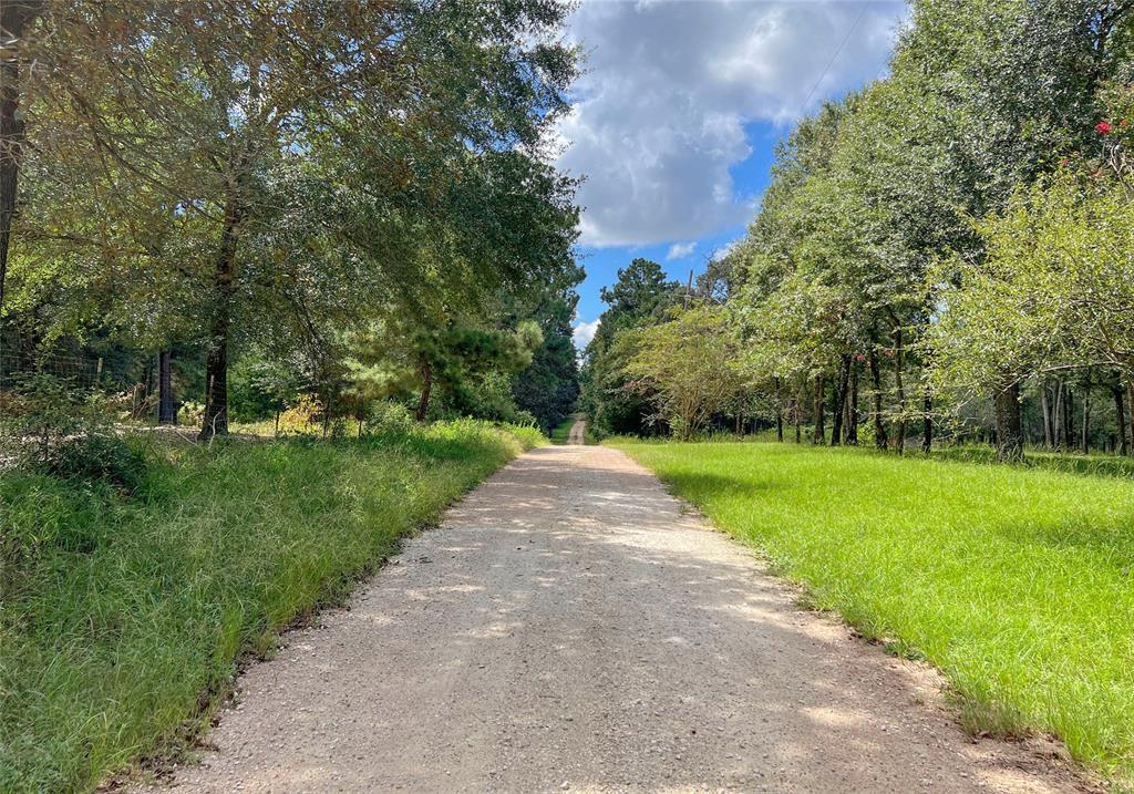 15560 Serendipity Trail, Plantersville, Texas image 35