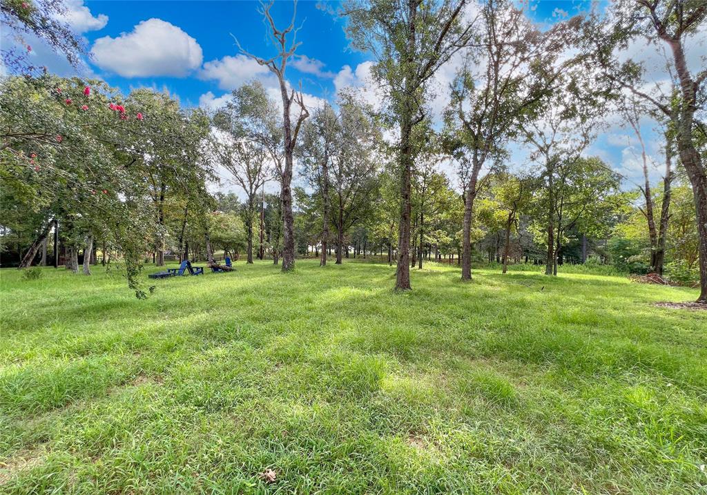 15560 Serendipity Trail, Plantersville, Texas image 36