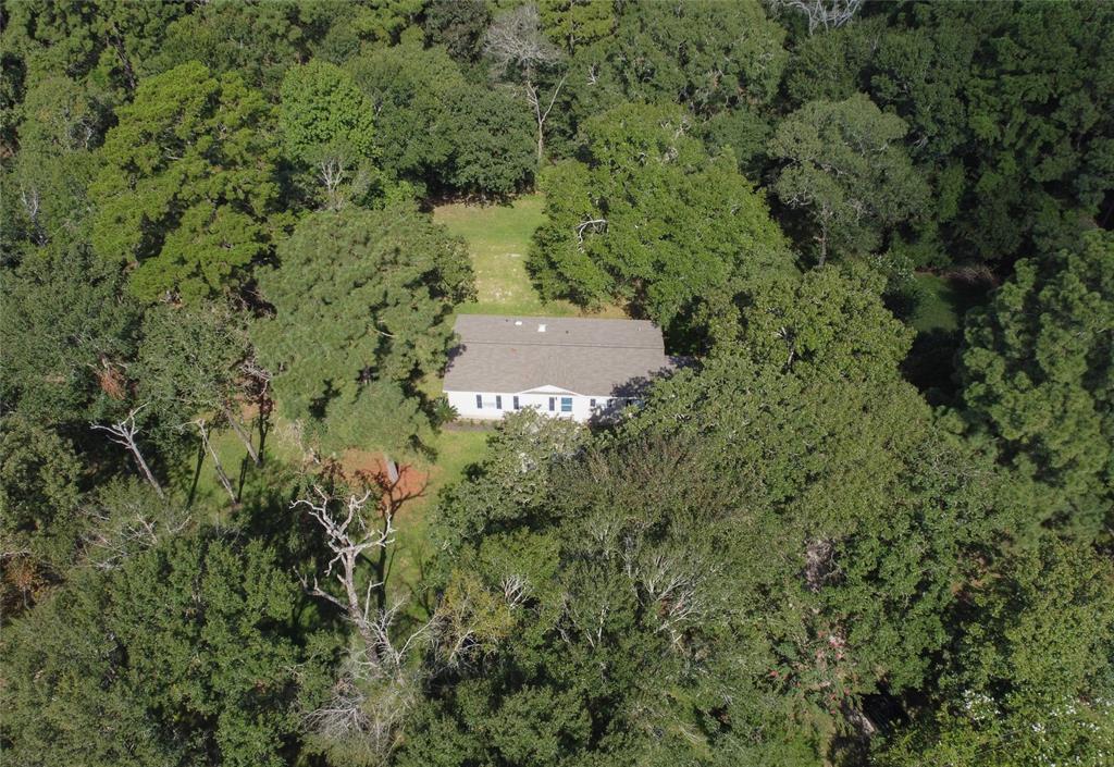 15560 Serendipity Trail, Plantersville, Texas image 48