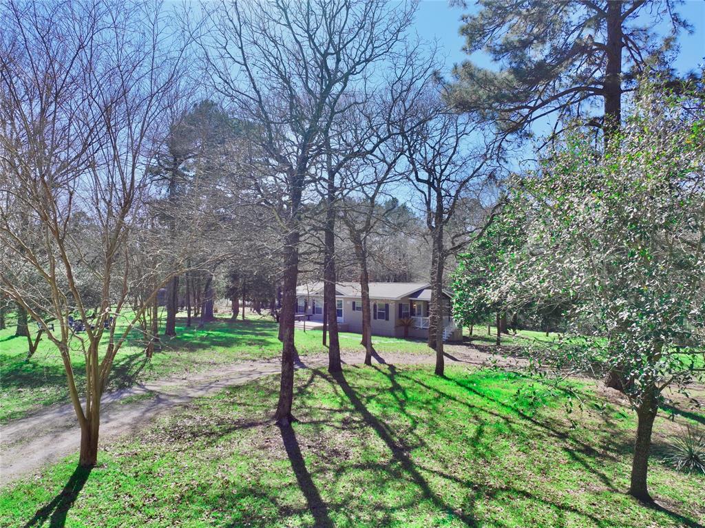 15560 Serendipity Trail, Plantersville, Texas image 39