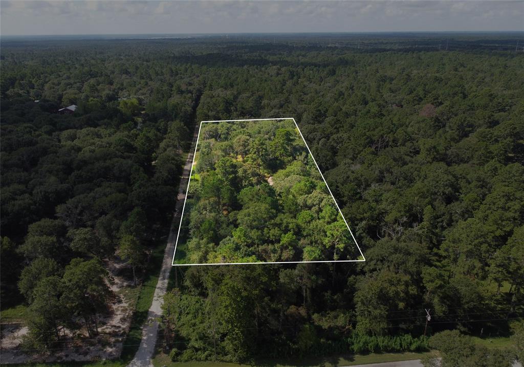 15560 Serendipity Trail, Plantersville, Texas image 49