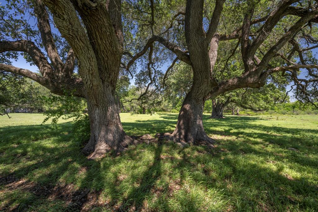 15140 Bluff Road, Washington, Texas image 7