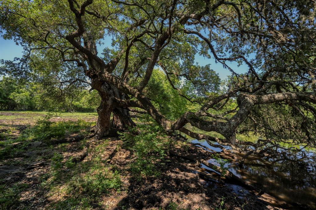 15140 Bluff Road, Washington, Texas image 22