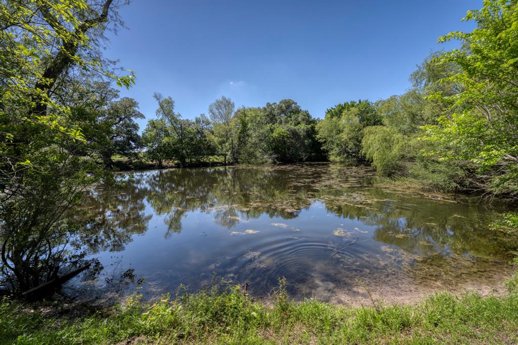 15140 Bluff Road, Washington, Texas image 13