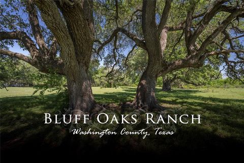 15140 Bluff Road Washington TX 77880