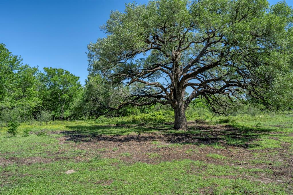 15140 Bluff Road, Washington, Texas image 11