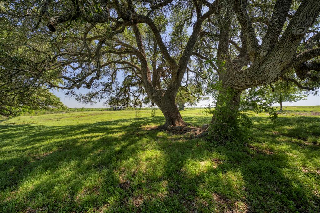 15140 Bluff Road, Washington, Texas image 8