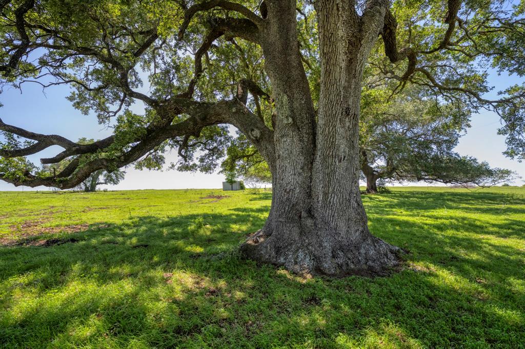 15140 Bluff Road, Washington, Texas image 21