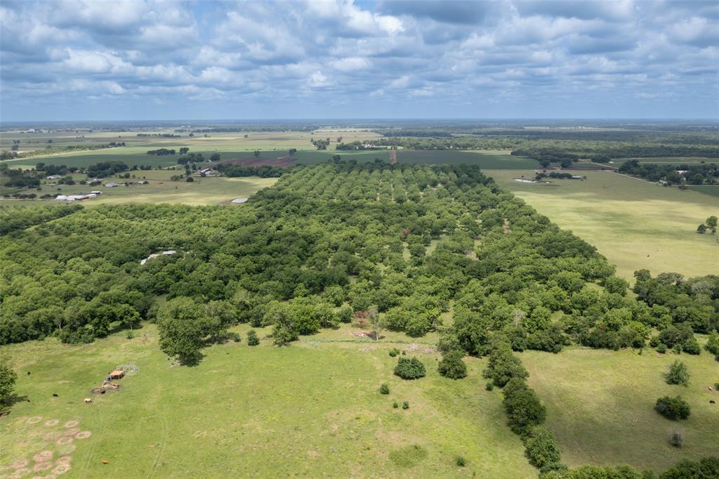 2640 County Road 107 Rd, Boling, Texas image 14
