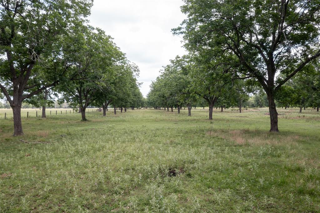 2640 County Road 107 Rd, Boling, Texas image 22