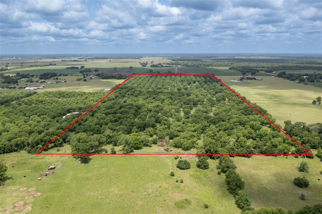 2640 County Road 107 Rd, Boling, Texas image 13