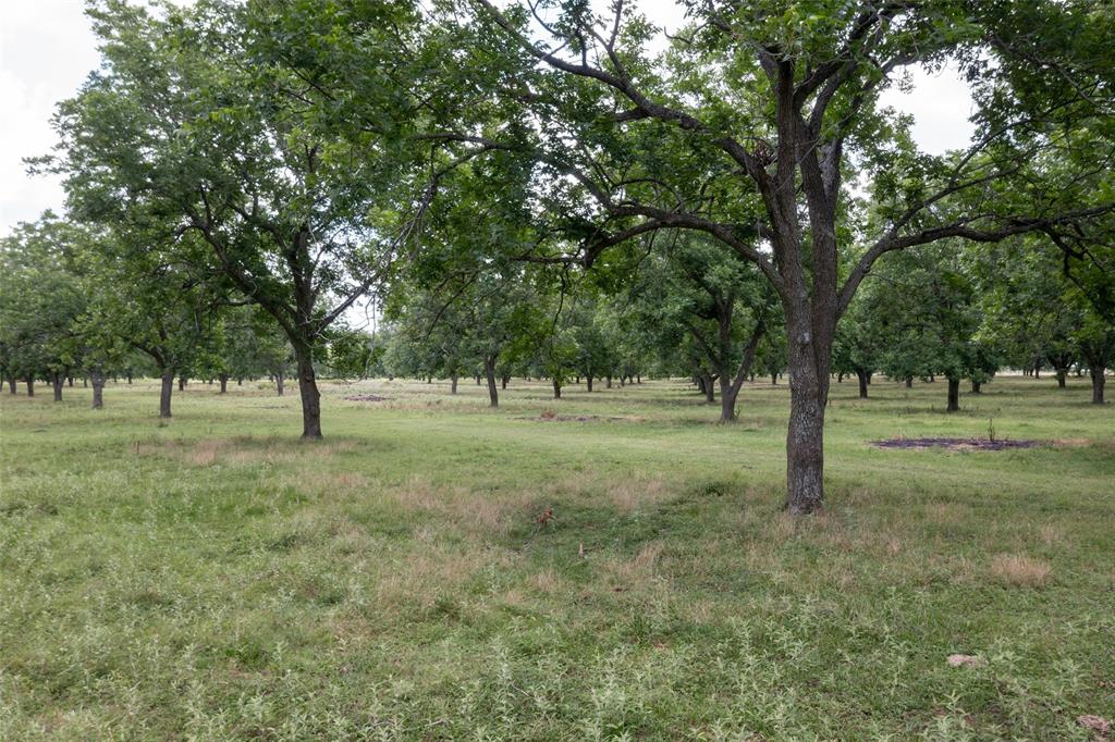 2640 County Road 107 Rd, Boling, Texas image 20