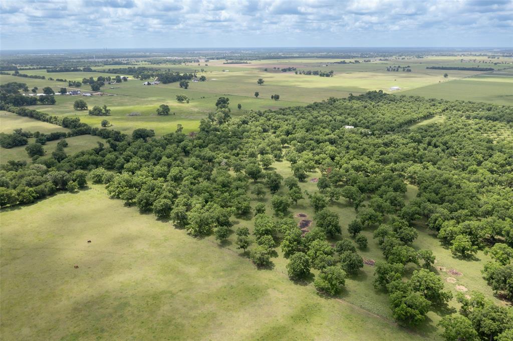 2640 County Road 107 Rd, Boling, Texas image 16