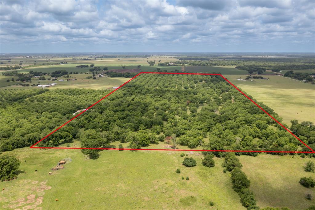 2640 County Road 107 Rd, Boling, Texas image 11