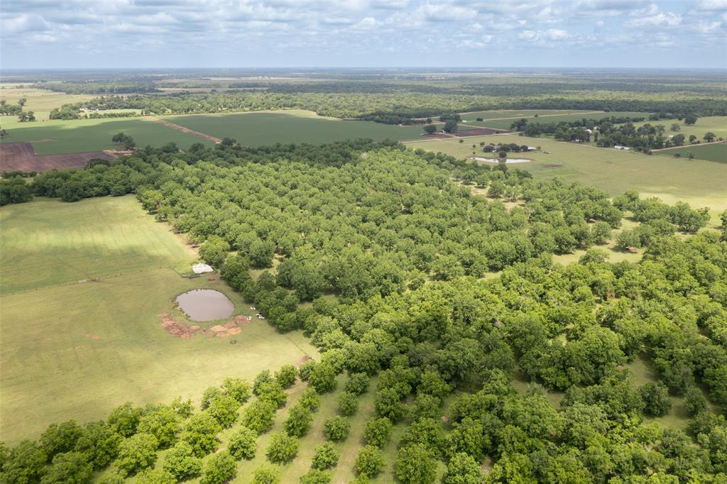2640 County Road 107 Rd, Boling, Texas image 10