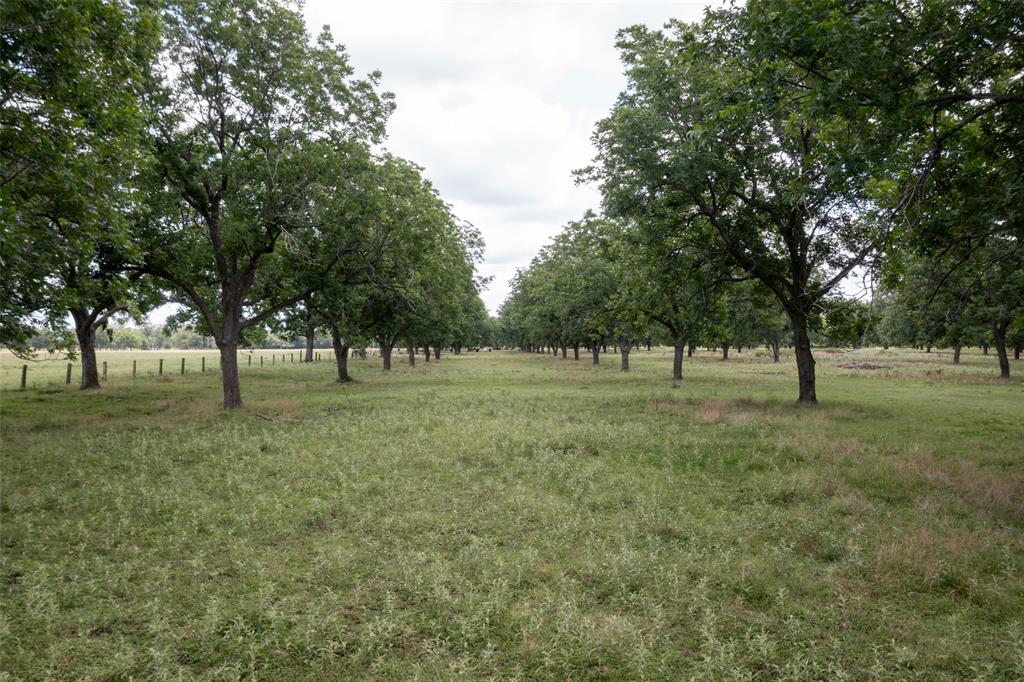 2640 County Road 107 Rd, Boling, Texas image 19