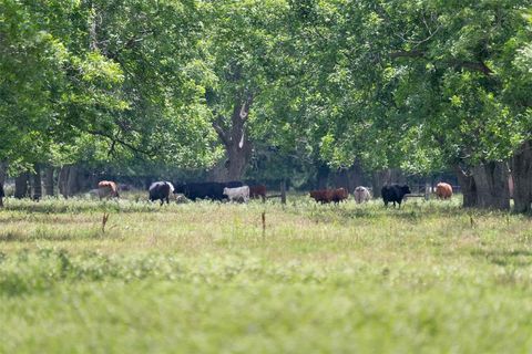 2640 County Road 107 Boling TX 77420