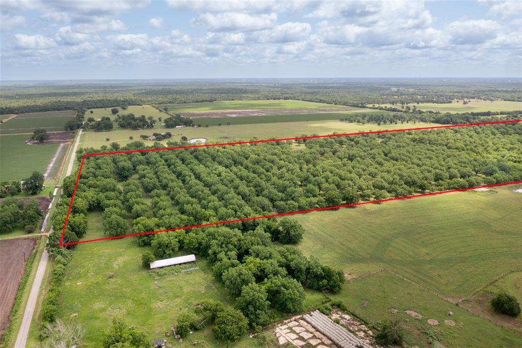 2640 County Road 107 Rd, Boling, Texas image 8