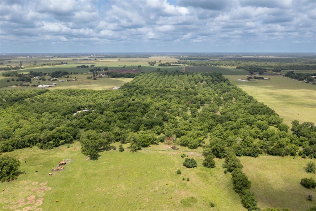 2640 County Road 107 Rd, Boling, Texas image 12