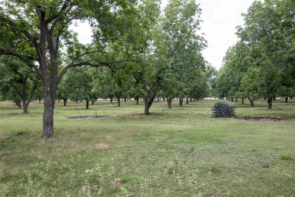 2640 County Road 107 Rd, Boling, Texas image 21