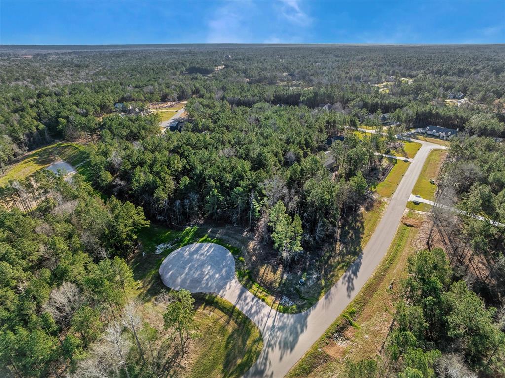8107 High Meadow Ridge Court, Montgomery, Texas image 1