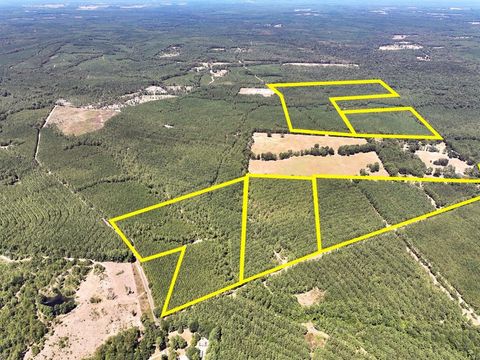 Vacant Land For Sale - 13 Joskey Dykes Rd<br/> Zavalla, TX 75980