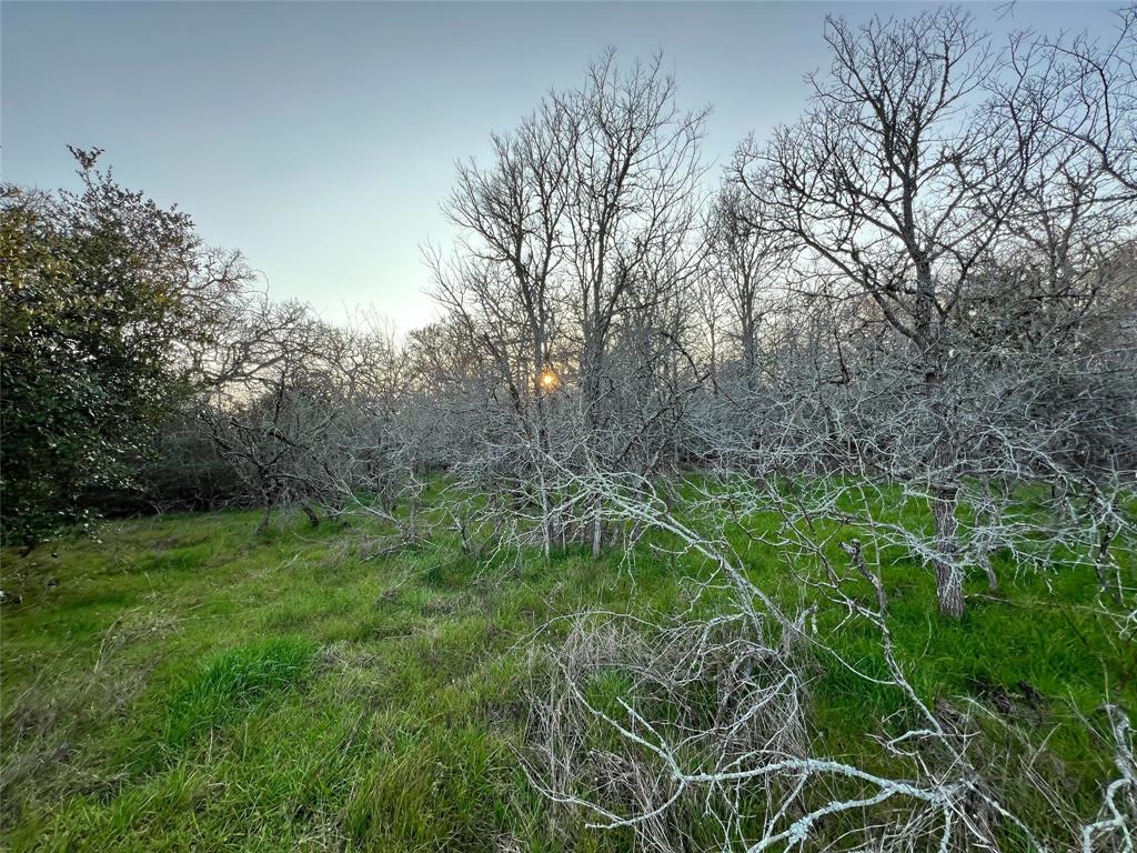 805 Wilderness Rd, Somerville, Texas image 3