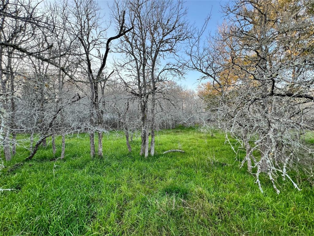 805 Wilderness Rd, Somerville, Texas image 1