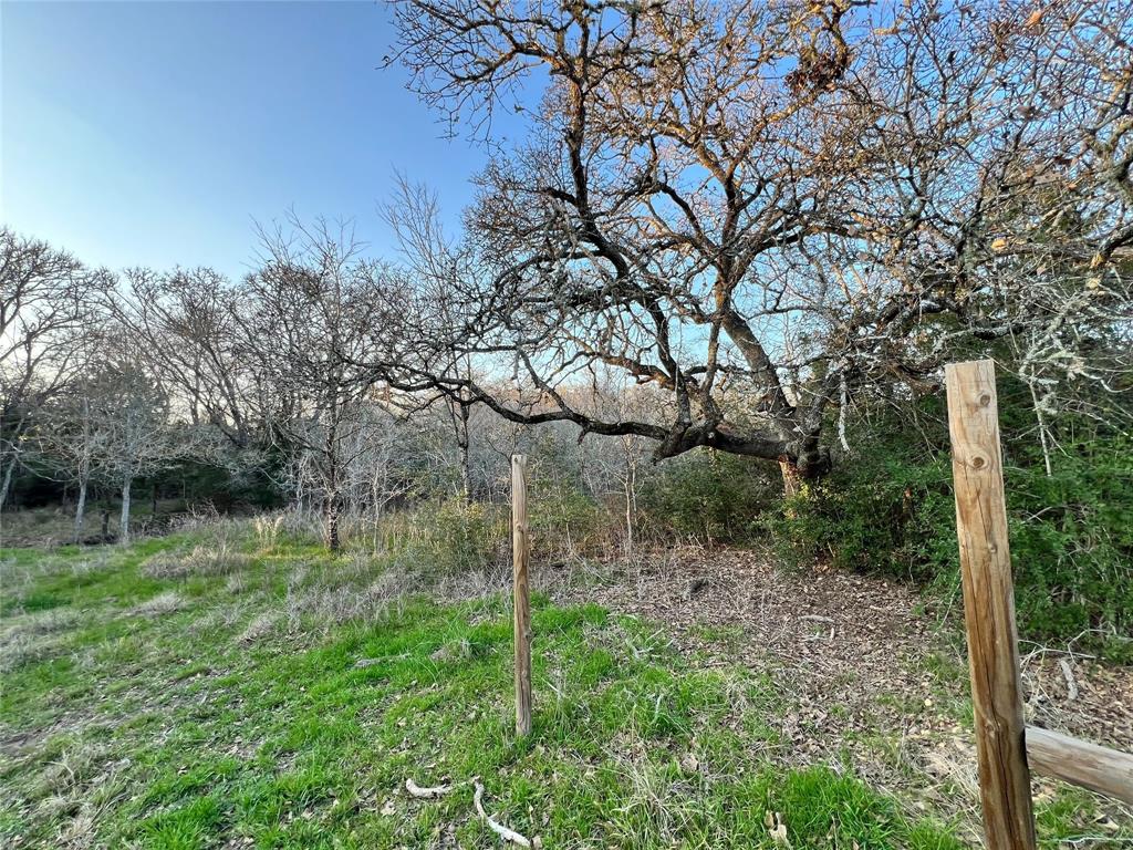 805 Wilderness Rd, Somerville, Texas image 7