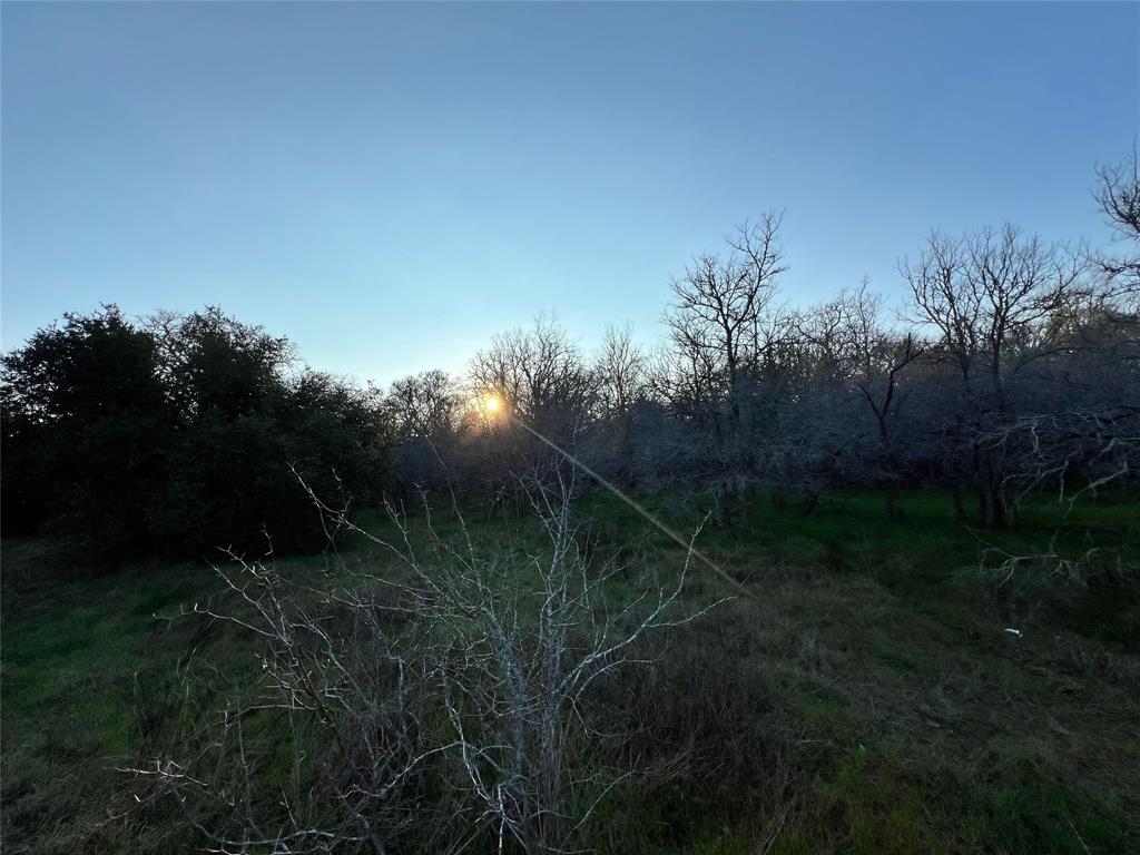 805 Wilderness Rd, Somerville, Texas image 9