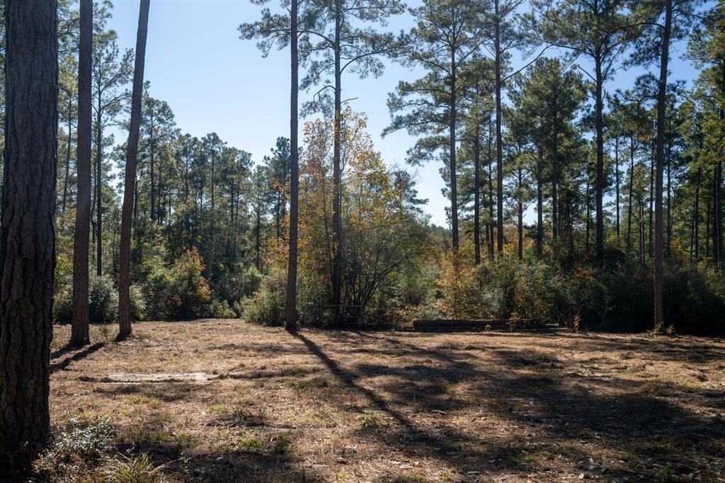 445 County Road 3190, Colmesneil, Texas image 4