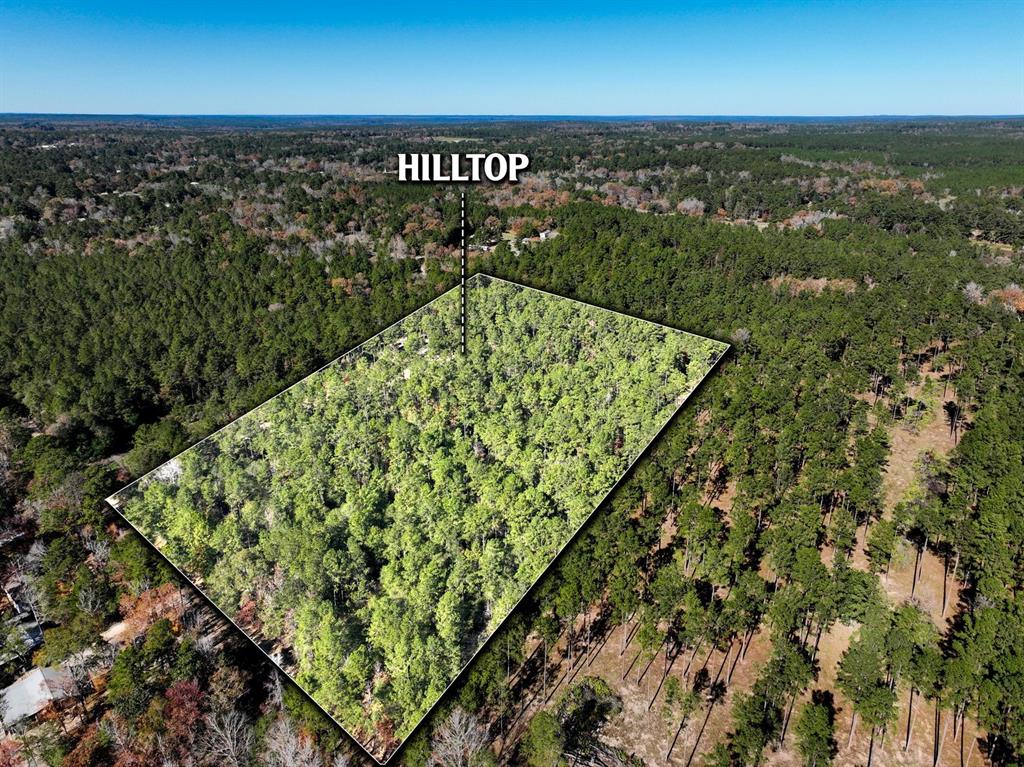 445 County Road 3190, Colmesneil, Texas image 2