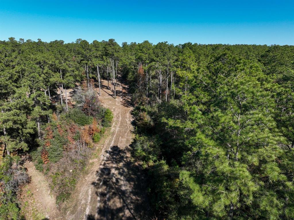 445 County Road 3190, Colmesneil, Texas image 13