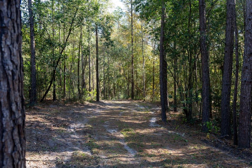 445 County Road 3190, Colmesneil, Texas image 6