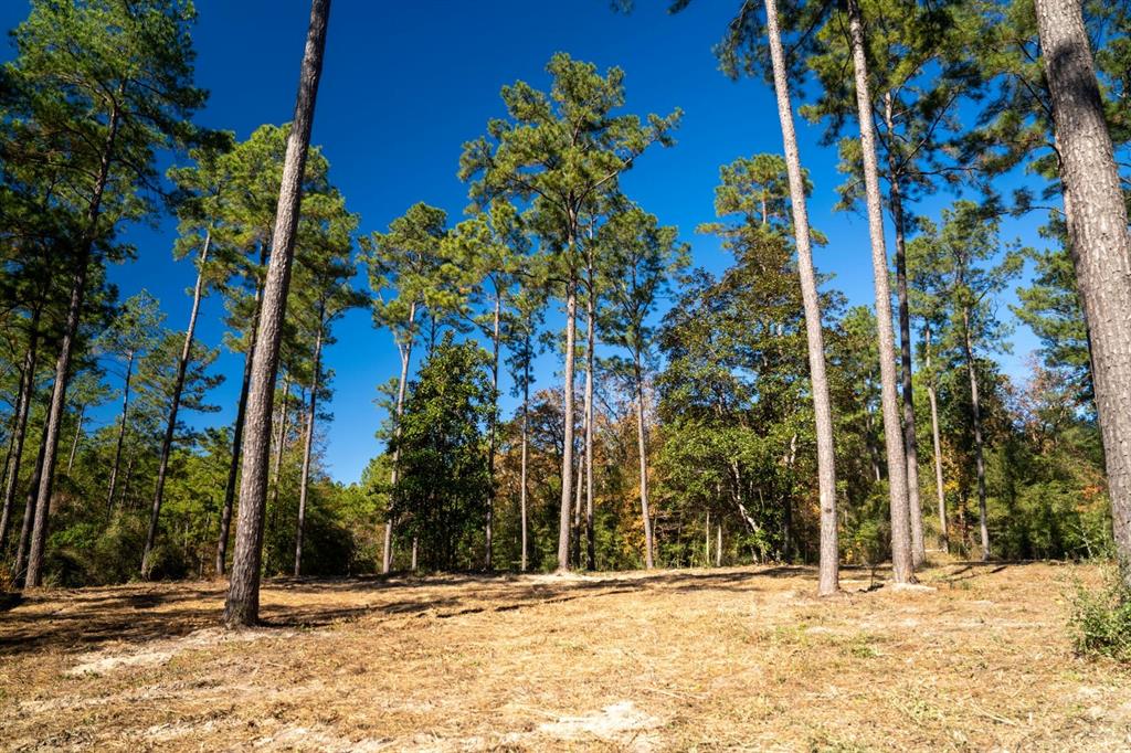 445 County Road 3190, Colmesneil, Texas image 3