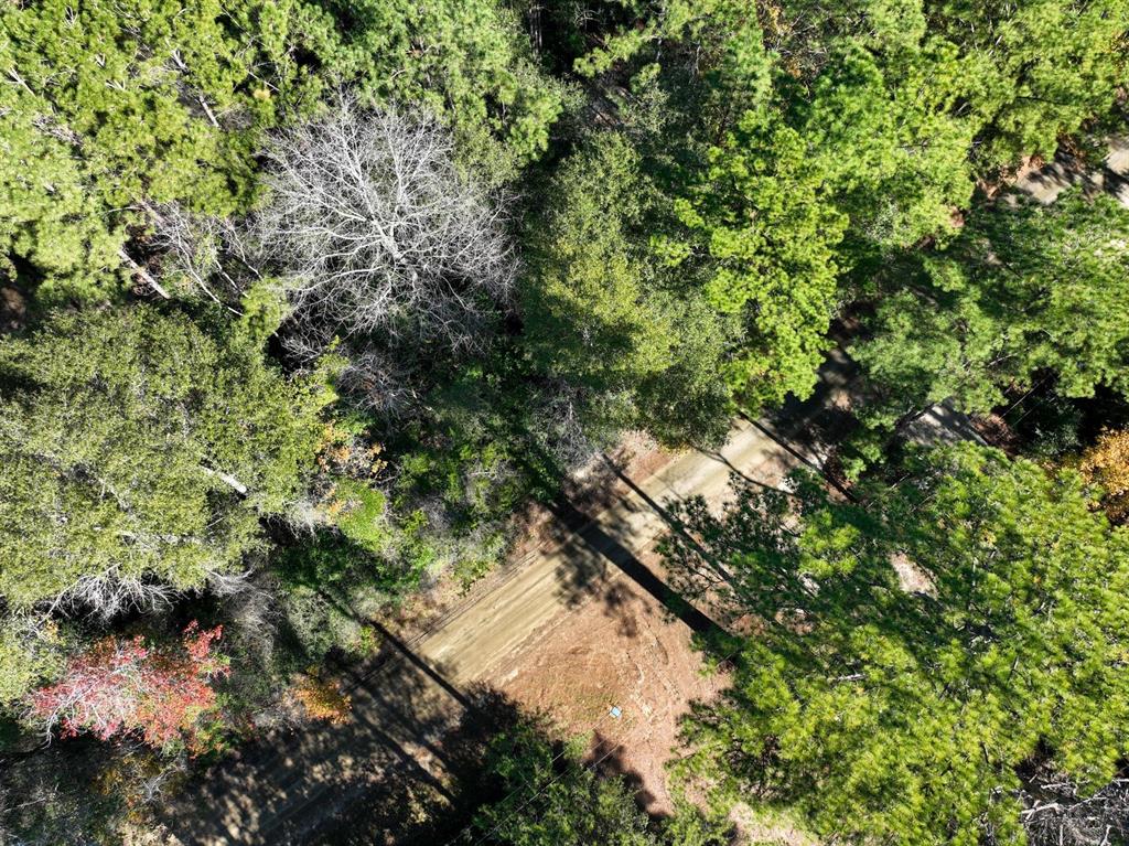 445 County Road 3190, Colmesneil, Texas image 14