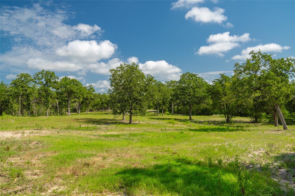 1993 Reiss Road, Muldoon, Texas image 8