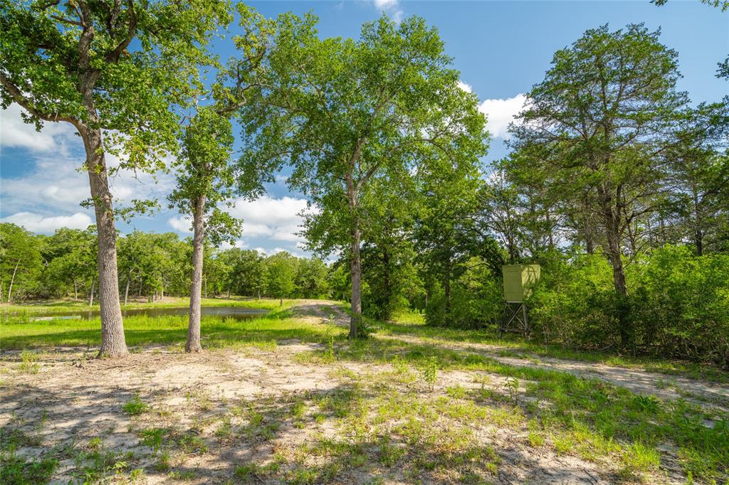 1993 Reiss Road, Muldoon, Texas image 5